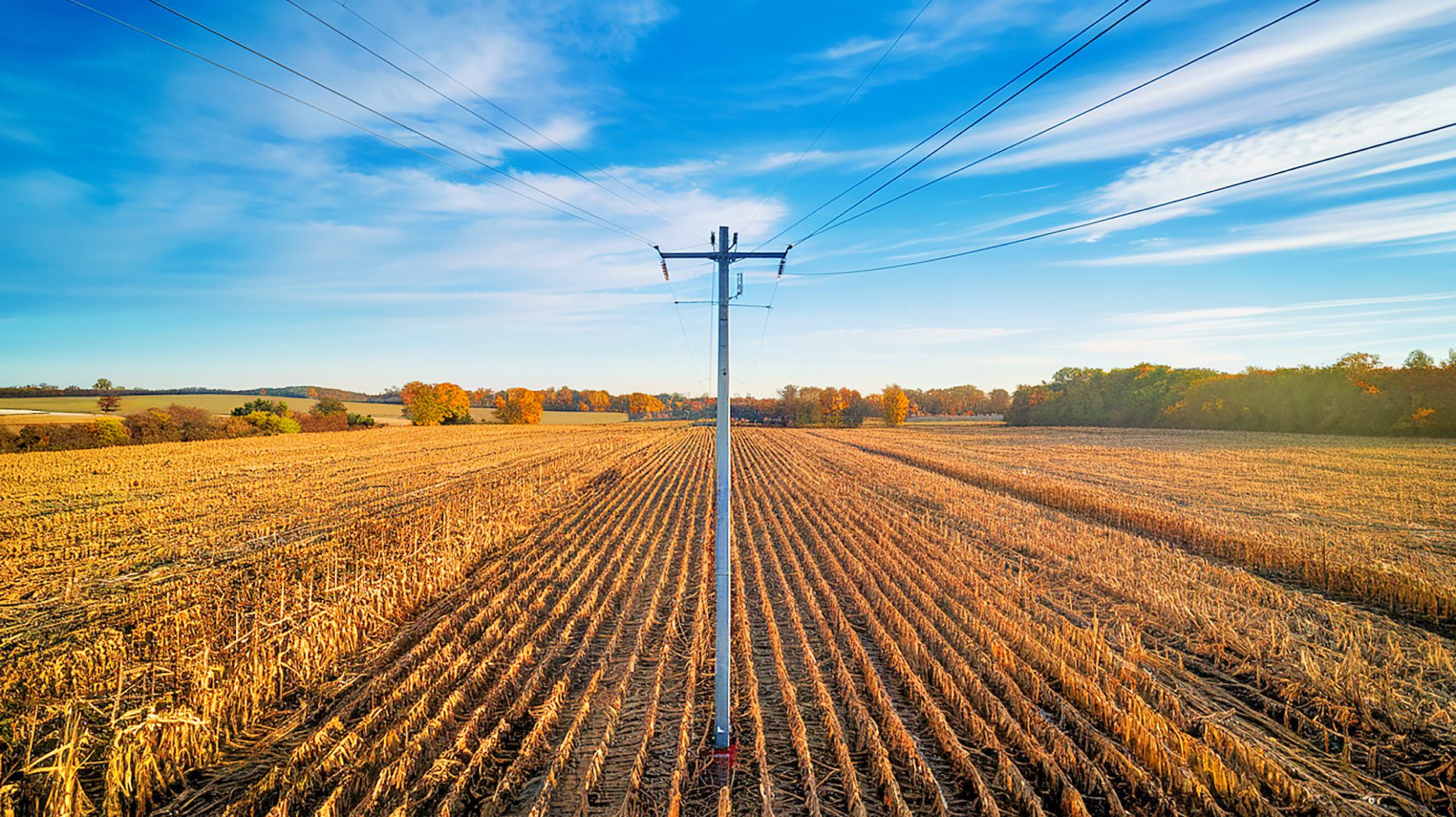 Strommast in abgeerntetem Maisfeld mit Bewässerungsanlage aus der Vogelperspektive